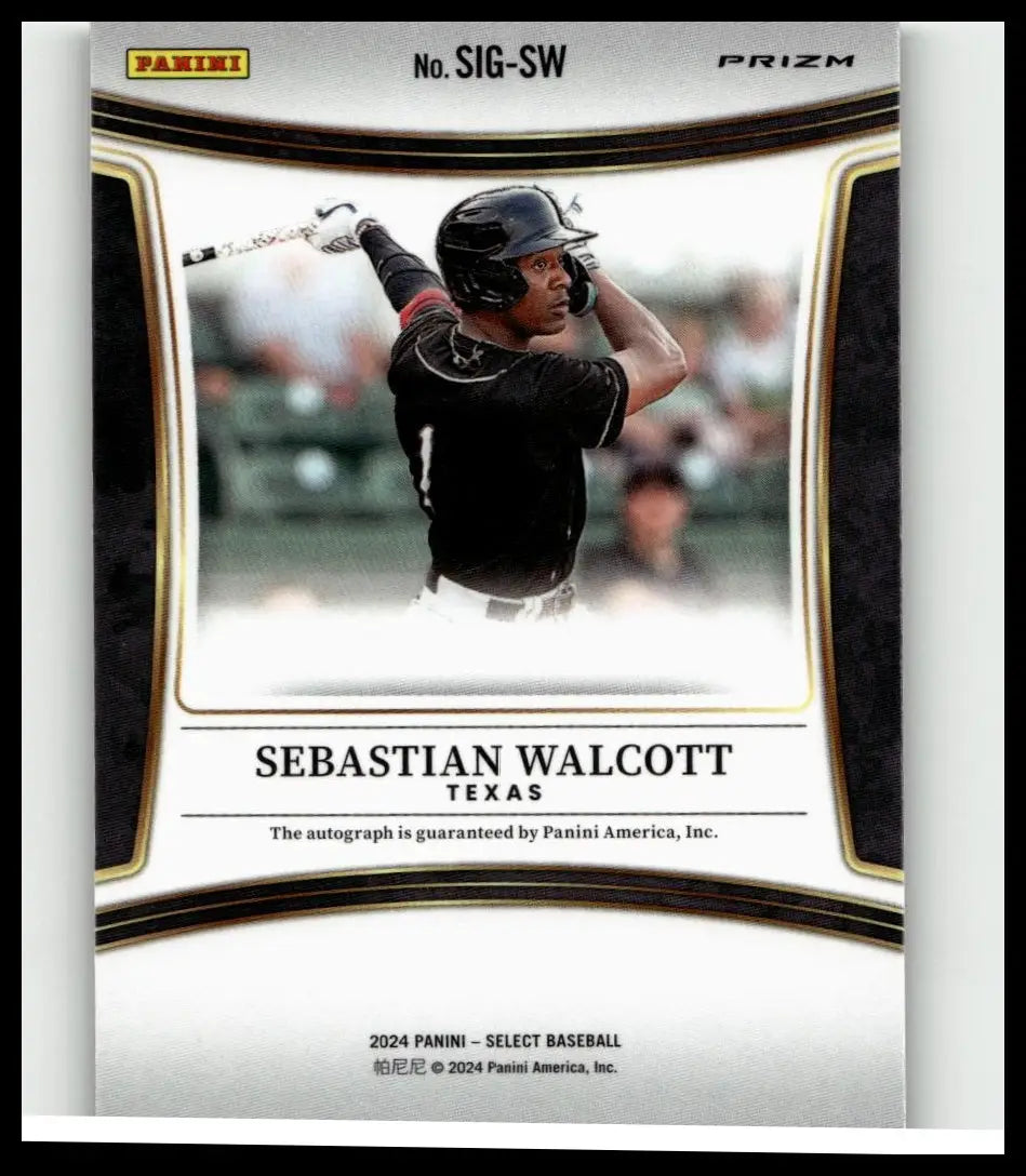 Black and white 2024 panini select baseball trading card featuring sebastian walcott signatures in texas uniform