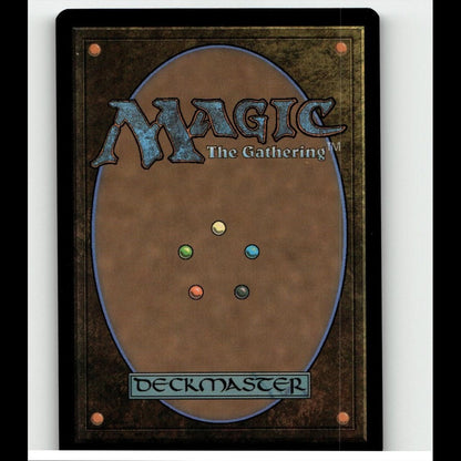 Magic #M0020 Undercity Sewers Borderless TNMT