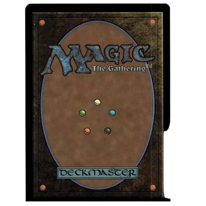 A brown magic the gathering turtle van foil card with vintage design and five colored mana symbols in oval pattern